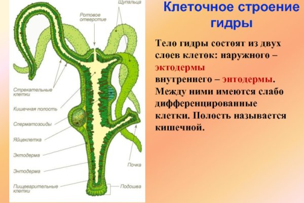 Как зарегистрироваться в kraken